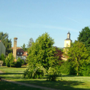 gutspark